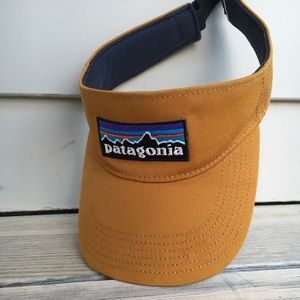 Patagonia Visor